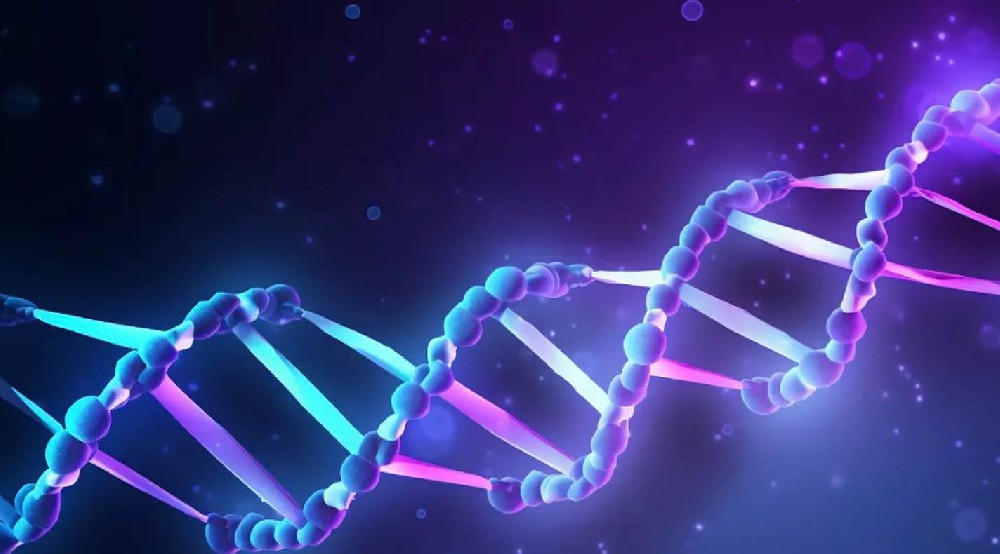 分子生物學(xué)相關(guān)